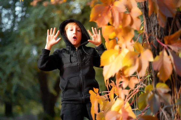 Ein Junge Schwarzer Kleidung Steht Neben Einem Baum Dem Gelbe — Stockfoto