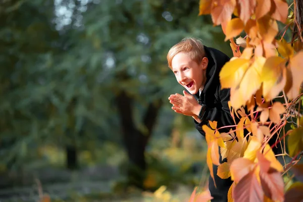 Ragazzo Furbo Guarda Fuori Dietro Albero Con Foglie Gialle Autunno — Foto Stock