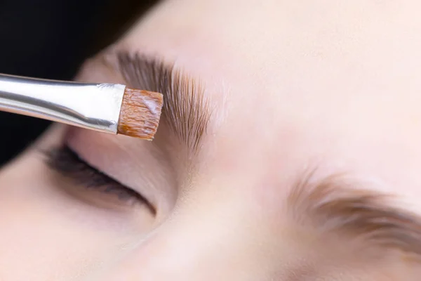 Long Term Eyebrow Styling Help Laminating Formulations Master Applies Composition — Stock Photo, Image