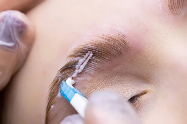 laying out the eyebrow hairs after the eyebrow lamination procedure, the master combs the eyebrows with a brush