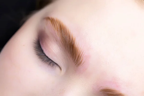 Combed Eyebrow Lamination Help Formulations — Stock Photo, Image