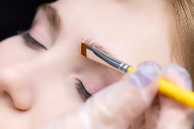 Usta, modelin kaşlarının üzerinde fırçayla kaplama kaşlar için ilk bileşimi dağıtır.