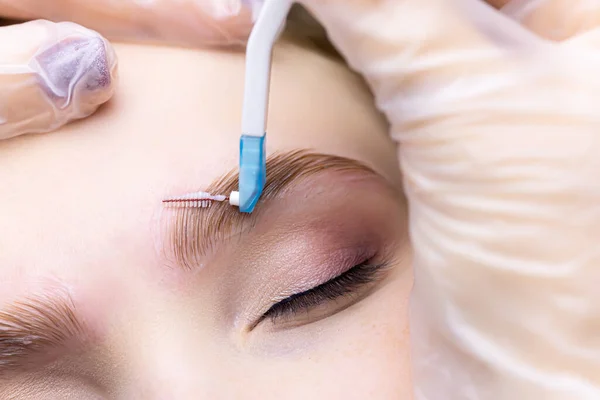 Procedure Laminating Eyebrows Master Distributes Special Eyebrow Brush Correct Laying — Stock Photo, Image