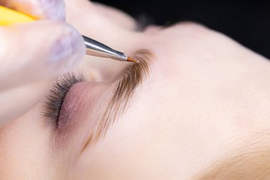 Kaplama kompozisyonları kullanılarak uzun vadeli biçimlendirmenin yapıldığı modelin kaşlarının yakın plan görüntüsü