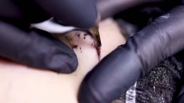Un maestro de guantes negro se pega a la ceja y aplica un tatuaje de pigmento — Vídeo de stock