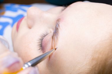 Üstat tarafından yakın çekim fırçası tutulmuş ve kaş kaplama bileşimlerine uygulanmış