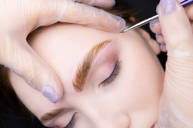 Yapılandırma prosedüründen sonra bileşiklerle makro kaş boyası ve boya.