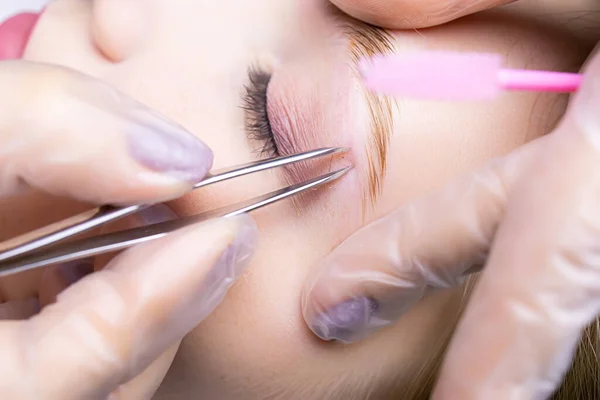 close-up of the eyebrows after the lamination procedure, the master tweezers to pluck the hairs