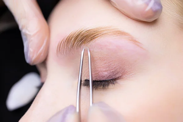 close-up of the eyebrow hairs after which the tip of the tweezers is located