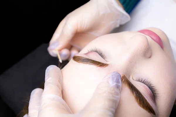 macro photography of the model\'s eyebrows painted and applied eyebrow paint on them, the master tries to remove excess paint from the contour of the eyebrows with a cotton swab