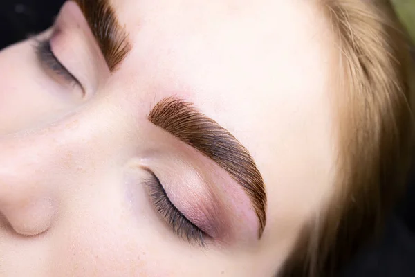 macro photography of eyebrow hairs with paint applied to them after the lamination procedure