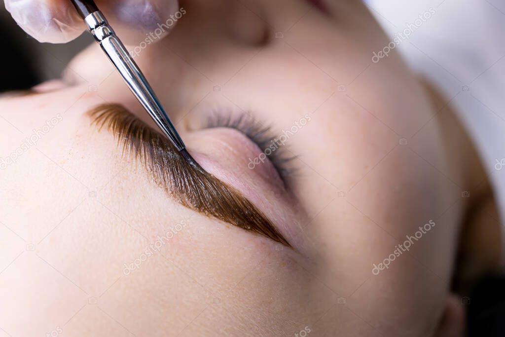 macro photography of eyebrow hairs, on which paint is applied with a brush for coloring after the procedure of long-term styling and lamination of eyebrows