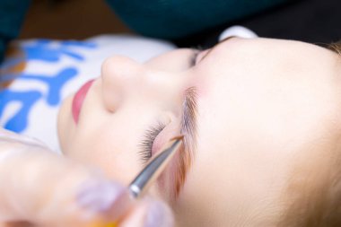 Üstat tarafından yakın çekim fırçası tutulmuş ve kaş kaplama bileşimlerine uygulanmış