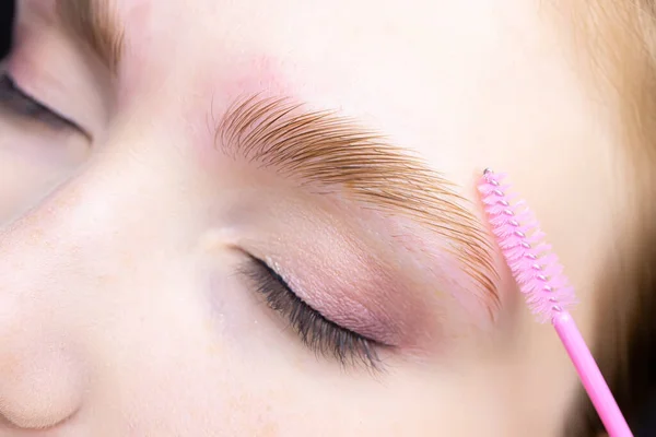 macro photography of the eye, the eyebrow of which is combined with a brush, the hairs are laid after the laminating composition