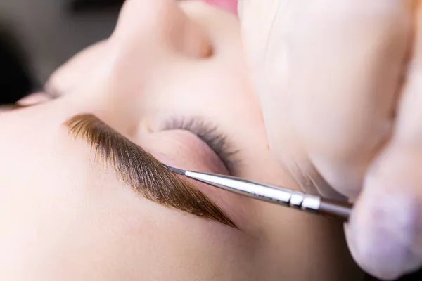 macro photography of eyebrow hairs, on which paint is applied with a brush for coloring after the procedure of long-term styling and lamination of eyebrows