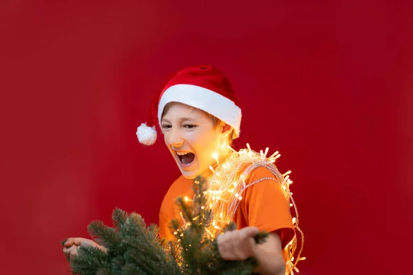 Mutlu Çocuk Elinde Bir Noel Ağacı Tutuyor Onu Yakaladığı Için — Stok fotoğraf
