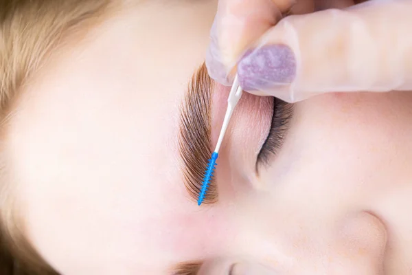 ready-made procedure lamination of eyebrows after coloring with paint