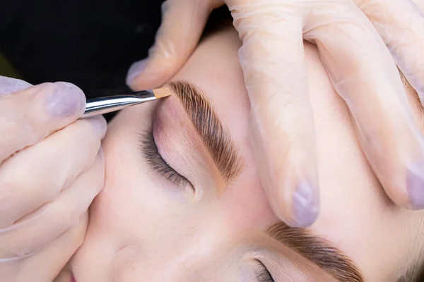 close-up of beautiful laminated eyebrows after coloring and correction, the master applies a brush and a toning cream