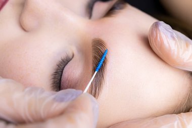 Baskın kompozisyonlu kaş kıllarının makro fotoğrafçılığı, ana taraklar ve saçlarını fırçayla tarar.