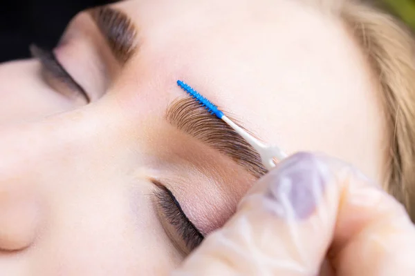 Completed Eyebrow Lamination Procedure Master Combs Eyebrows Eyebrow Combs — Stock Photo, Image