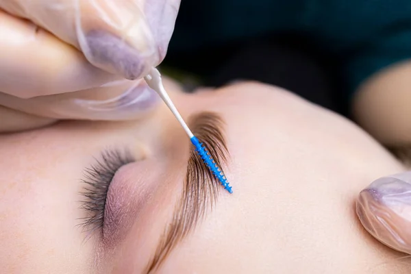 macro photography of eyebrow hairs that, after the lamination procedure, fall evenly in one row