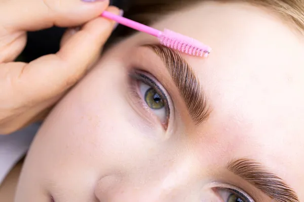 Macro Photography Model Hairs Master Combs Eyebrow Hairs Pink Brush — Stock Photo, Image