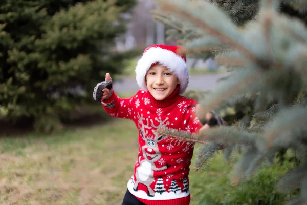 Cheerful Boy Red Christmas Sweater Reindeer Santa Hat Looks Out — Stock Photo, Image