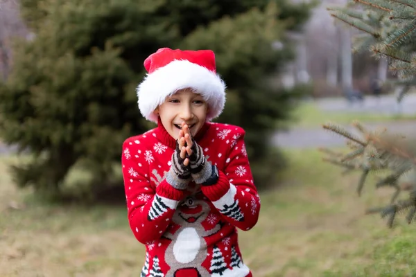 Cheerful Boy Red Christmas Sweater Reindeer Santa Hat Park Christmas — Stock Photo, Image