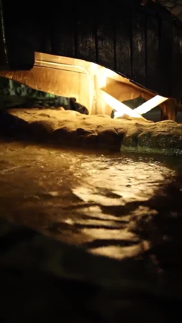 La cascada fluye en la piscina resplandeciente por la noche — Vídeos de Stock