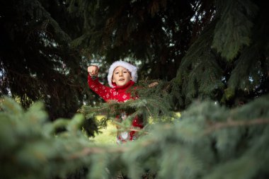 Kırmızı örgü Noel süveteri giyen bir çocuk, yılbaşı geyiği ve Noel Baba şapkası ile parktaki bir Noel ağacının çalılarının arkasından dışarı bakıyor.