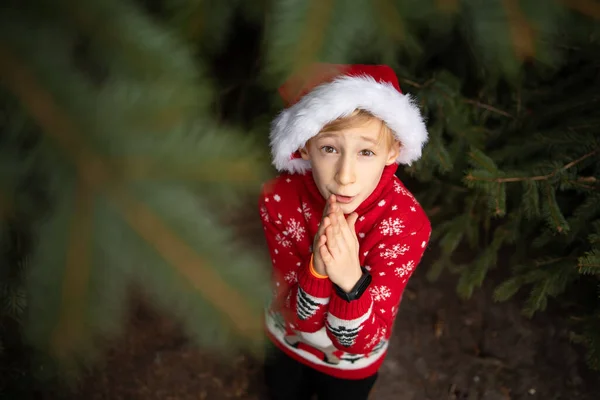 Boy Red Knitted Christmas Sweater Christmas Reindeer Santa Claus Hat — Stock Photo, Image