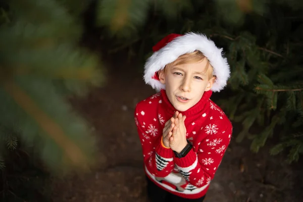 Boy Red Knitted Christmas Sweater Christmas Reindeer Santa Claus Hat — Stock Photo, Image