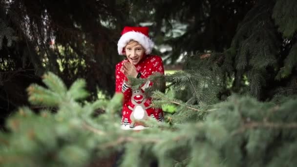 Хлопчик в червоному в'язаному різдвяному светрі з різдвяним оленям і капелюхом Санта — стокове відео