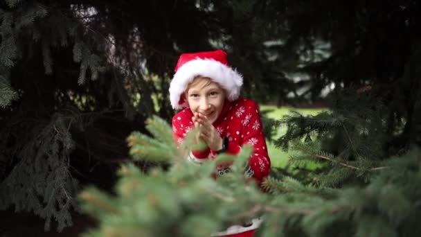 Niño en un jersey de punto rojo de Navidad con un reno de Navidad y sombrero de Santa — Vídeos de Stock