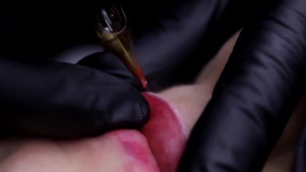 Maître Sur Les Lèvres Modèle Fait Tatouage Des Lèvres Effectue — Video