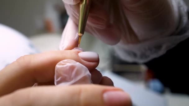 Manicura Pedicura Maestro Aplicar Esmalte Uñas Uña Con Cepillo Delgado — Vídeos de Stock