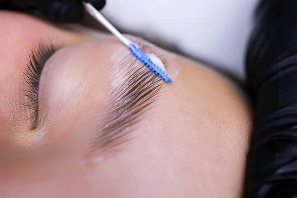 Close Eyebrow Hairs Styled Combed Laminating Compositions — Stock Photo, Image