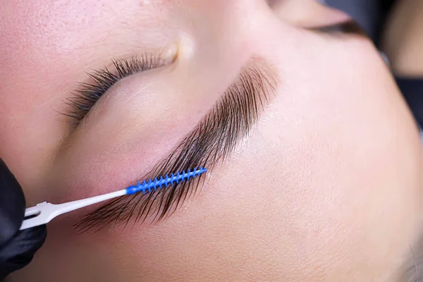 Combing Hairs Eyebrows Brush Procedure Coloring Laminating Eyebrows — Stock Photo, Image