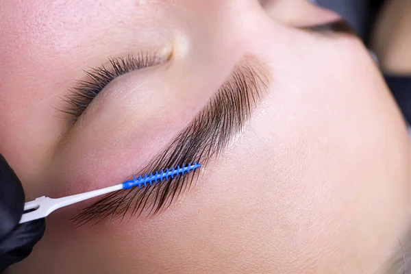 Pettinando Capelli Nelle Sopracciglia Con Pennello Dopo Procedura Colorazione Laminazione — Foto Stock