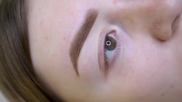 Résultat Final Maquillage Permanent Des Sourcils Sur Modèle Fille — Video