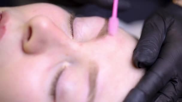 Der Meister Kämmt Die Haare Der Augenbrauen Nach Dem Permanenten — Stockvideo