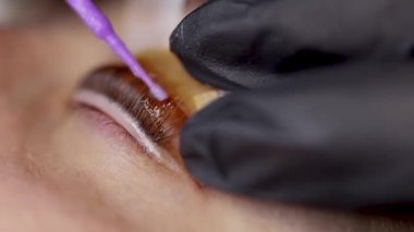 Gözlerdeki silia tabakası usta, mikro fırçaların yardımıyla kirpikleri düzeltir.