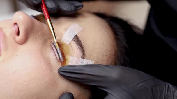 Laminação Cílios Nos Olhos Toalhetes Mestre Aplicam Tinta Cílios Espalhando — Vídeo de Stock
