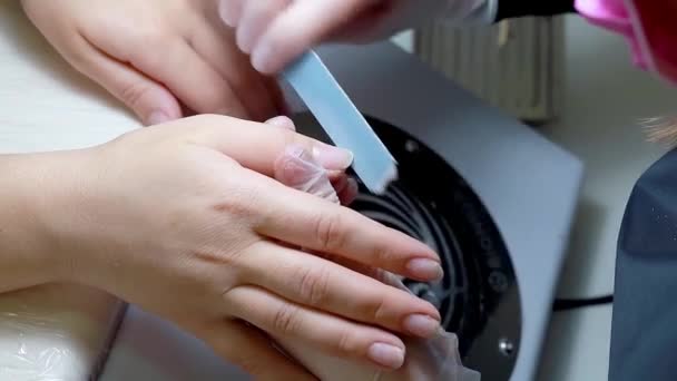 Procedure Filing Nails Nail File Manicure Master Gives Shape Nails — стоковое видео