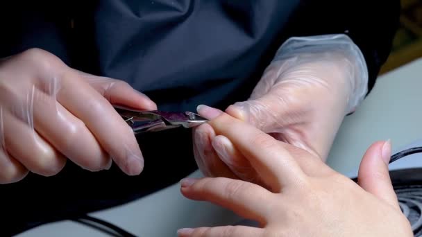 修指甲师傅手拿着剪指甲钳的特写抵消了多余的皮肤 — 图库视频影像