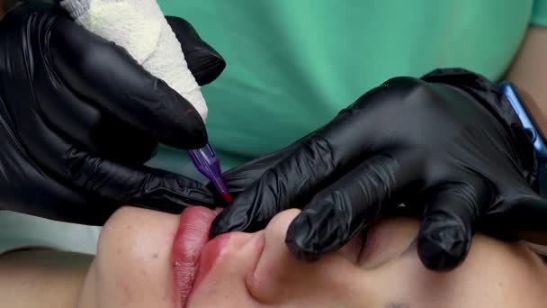 Procedimiento Maquillaje Labial Permanente Que Maestro Realiza Tatuaje Dispositivo Realiza — Vídeos de Stock