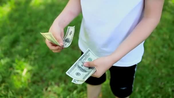 拍拍一个拿着美元钞票的男孩的手 然后在绿色草坪的后面数一数 — 图库视频影像