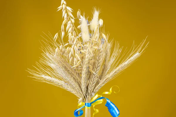 Bouquet Spikelets Wheat Tied Yellow Blue Ribbon — Stock Photo, Image