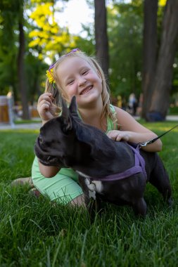 a little cheerful girl hugged a french bulldog dog and laughs merrily