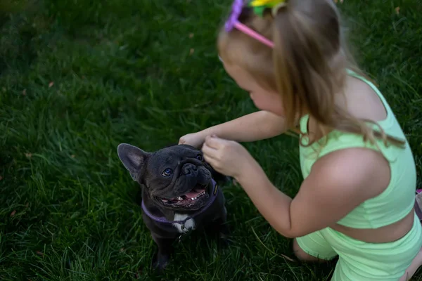french bulldog looks at a little girl who gives him food